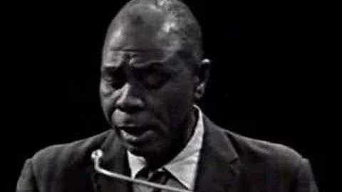 Sunnyland Slim - Tin Pan Alley