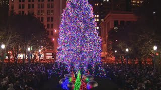 Deadline nears to submit nominations for Chicago's official Christmas tree