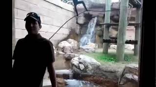 the hood trampoline ( monkey spinning on rope )