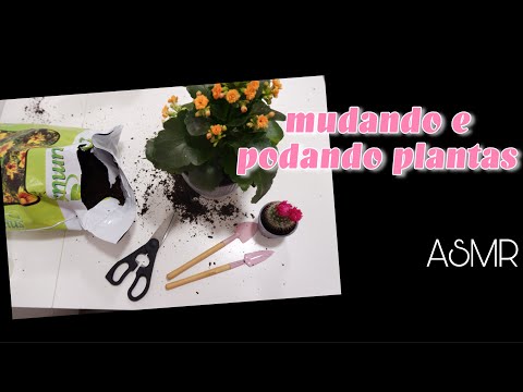 ASMR Portugal: Mudando e podando plantas
