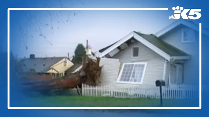 Tree crushes Tacoma home days before Christmas