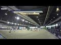 Arena Fise