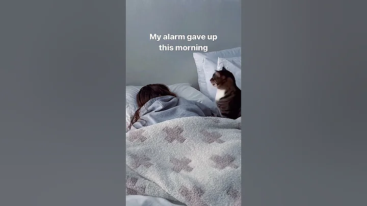 My alarm ⏰ this morning