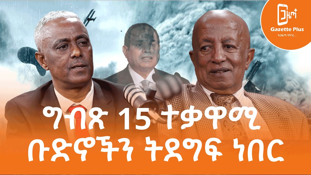 ግብጽ 15 ተቃዋሚ ቡድኖችን ትደግፍ ነበር | አምባሳደር ኢብራሂም እንድሪስ | ጋዜጣ ፕላስ | ቮድካስት |