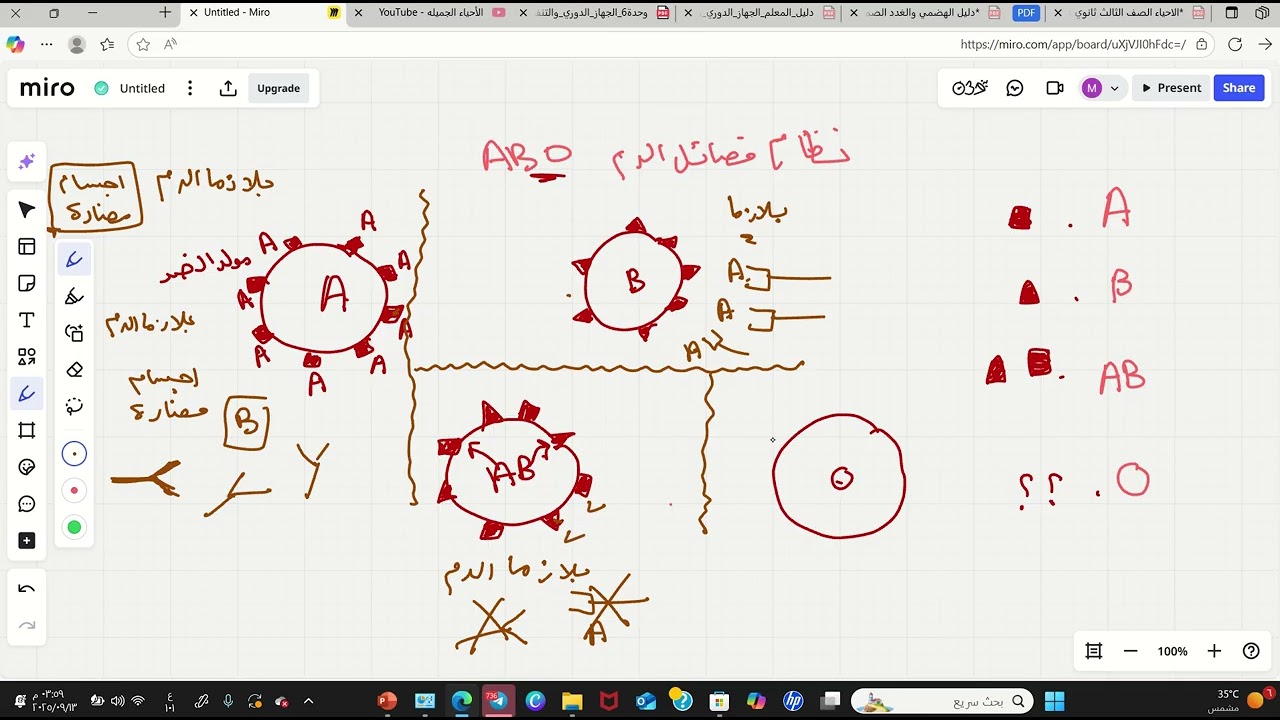 الجهاز الدوري شرح فصائل الدم
