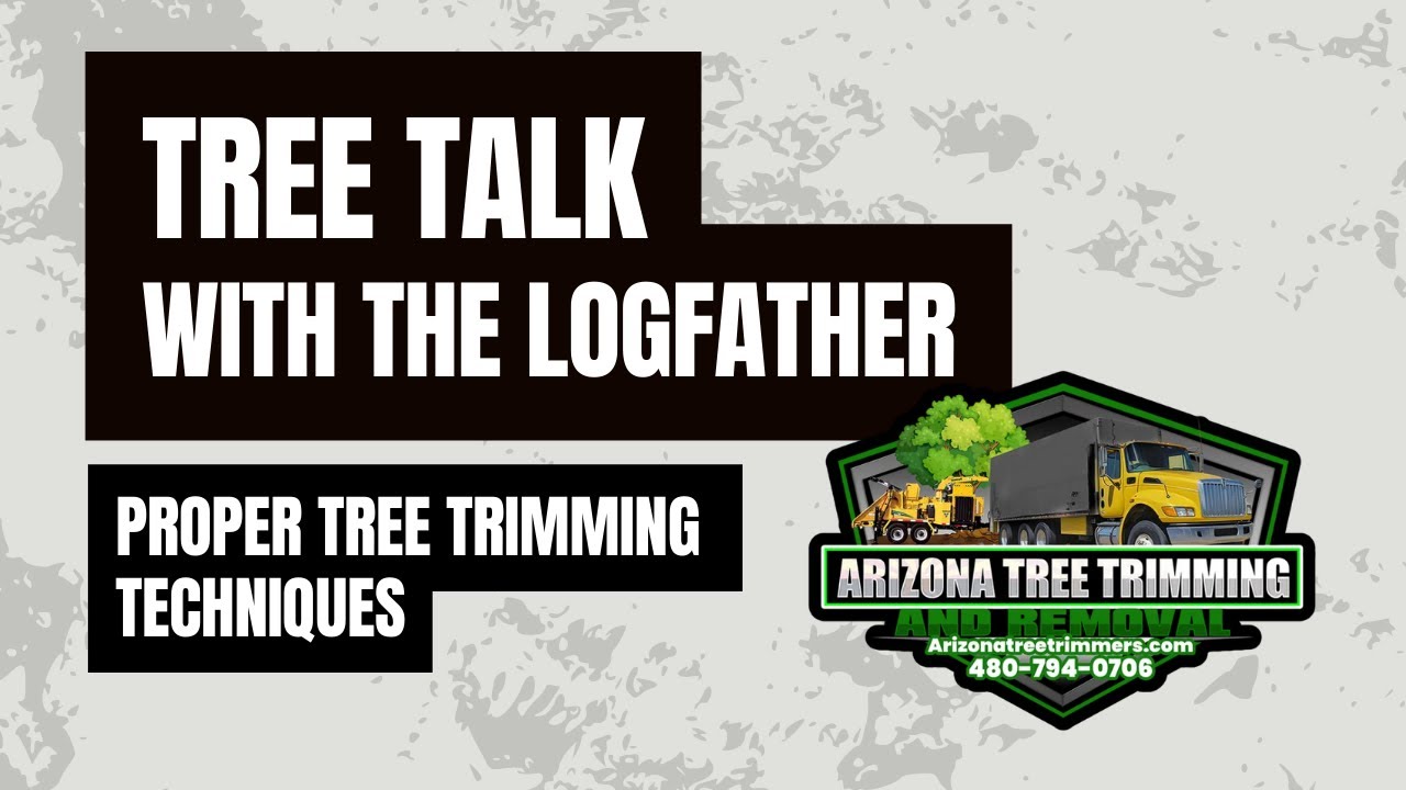 Proper Tree Trimming Techniques | Tree Talk with The Logfather