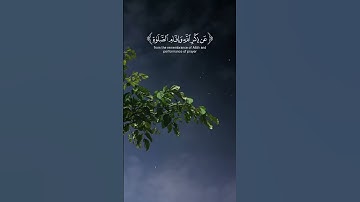 أكتب شئ تؤجر عليه ☘️#قران_كريم #ماهر_المعيقلي #تلاوة_خاشعة #المصحف #quran