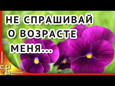 Не спрашивай о возрасте меня...Красивые стихи о жизни. Современная поэзия