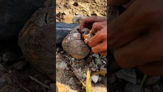 Breaking a mysterious geode..!! See what's inside #breaking #mysterius #geode