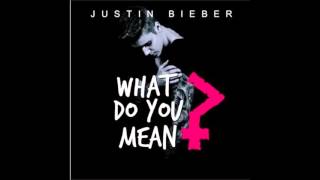 Download Lagu What Do you Mean Afro BEat  [Remix] Dj Kingfox. MP3