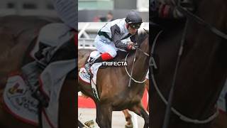 Trifecta bet 👆🏽3️⃣ #horseracing #horserace #horsebetting #betting #horselover