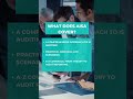 Information Systems Auditor | Introducing AISA | More practical approach to IS Auditing