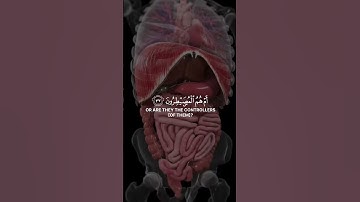 محمد اللحيدان سورة الطور | Muhammad Al Luhaidan Surah Al Tur #اكسبلور #المصحف #دويتو #islam