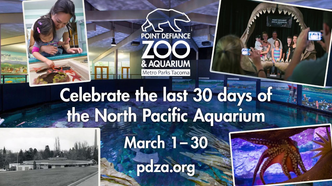 End of an Era: Closing the North Pacific Aquarium