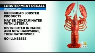 Maine Company Recalls 5,000 Pounds Of Frozen Lobster Meat
