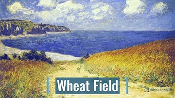 Using Adobe Spark for Video