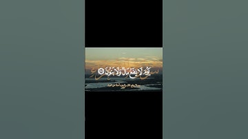 ﴿ وَلَا تُخْزِنِي يَوْمَ يُبْعَثُونَ ﴾ | سورة الشعراء | محمد صديق المنشاوي