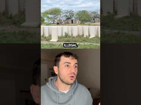A WALL Between