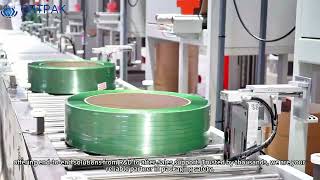 Trusted Packaging Solutions Backed by 20+ Years of Expertise