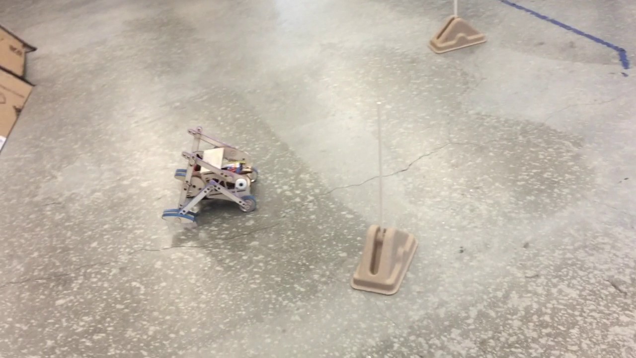 DES INV 22 FINAL:Phyllidae