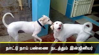 நடட நய பணண நடததம இனஜனயர