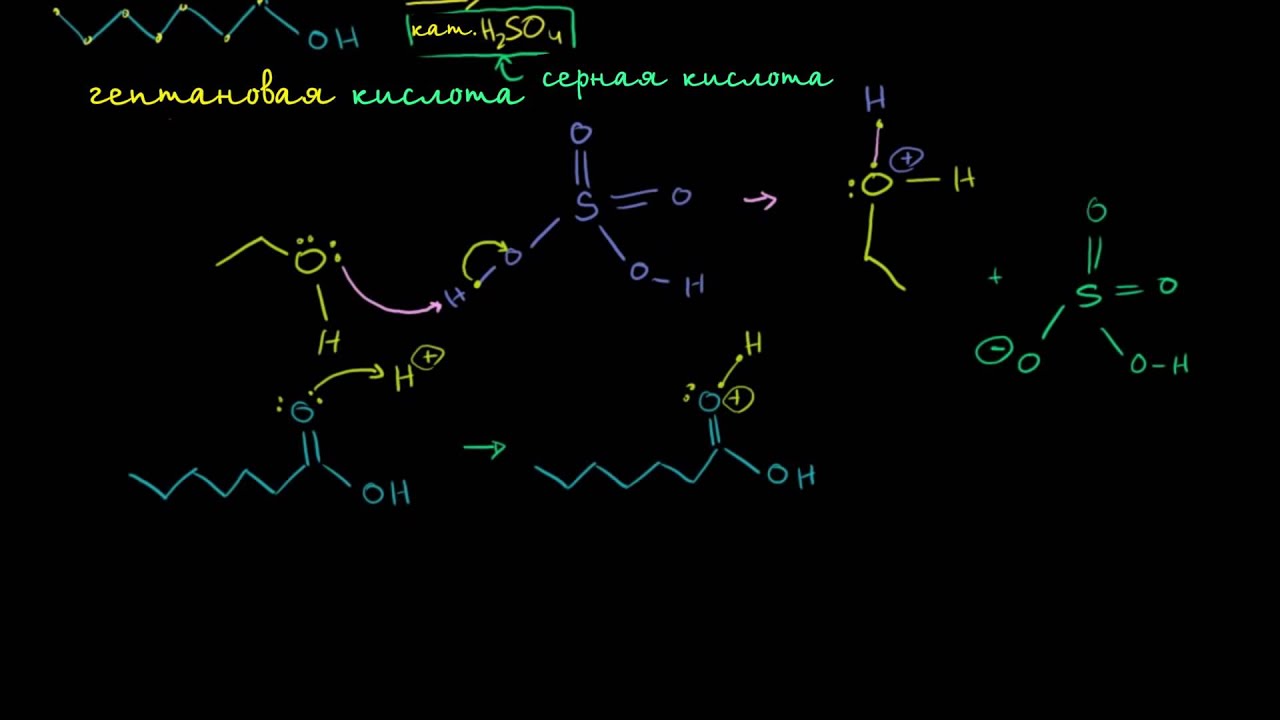 Реакция этерификации Фишера - YouTube