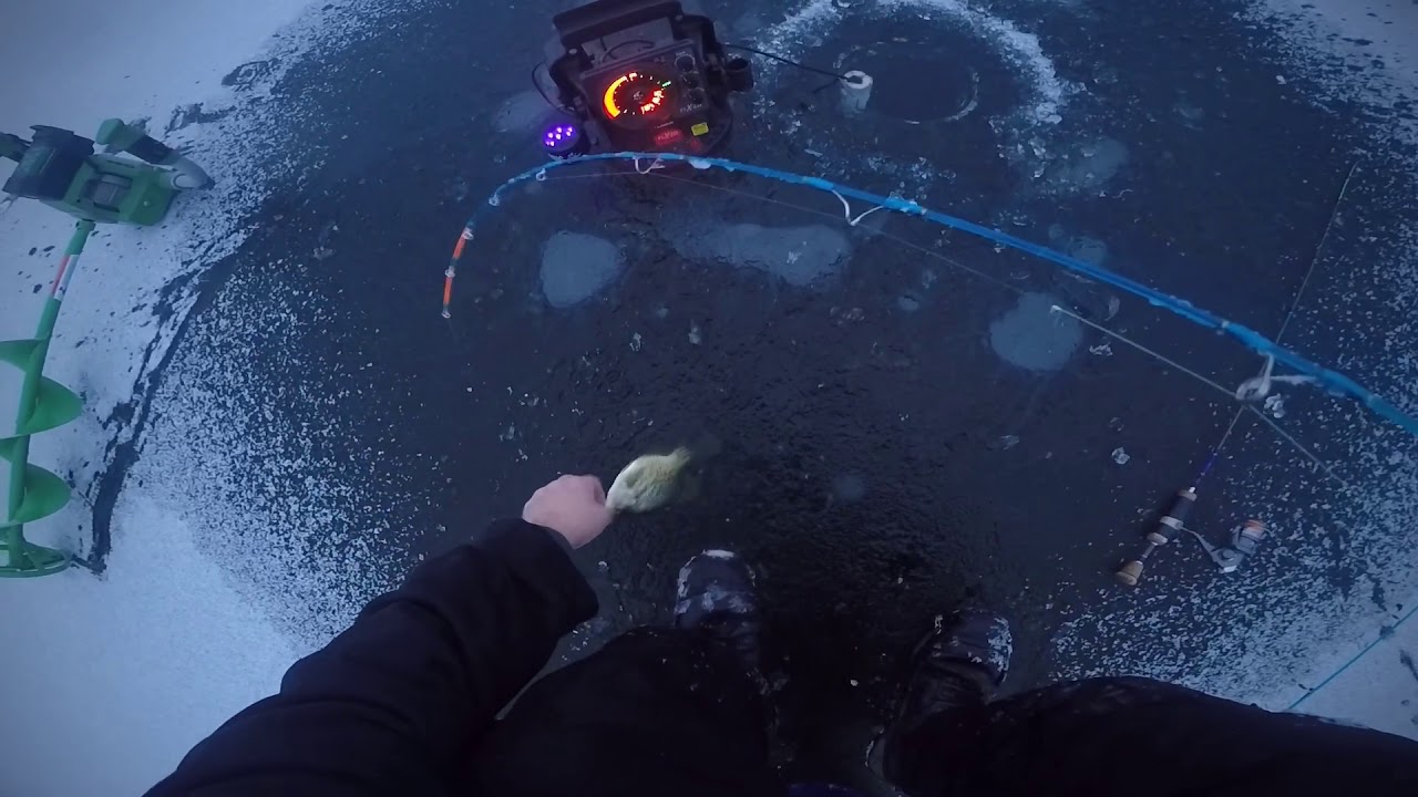 January 31, 2020 ice fishing crappies in Michigan! YouTube