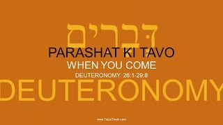 Celebrity (Part C) Weekly Torah Portion: 50 KI TAVO - WHEN YOU COME - DEUTERONOMY 26:1-29:8 Profile