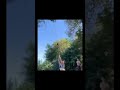 and she falls