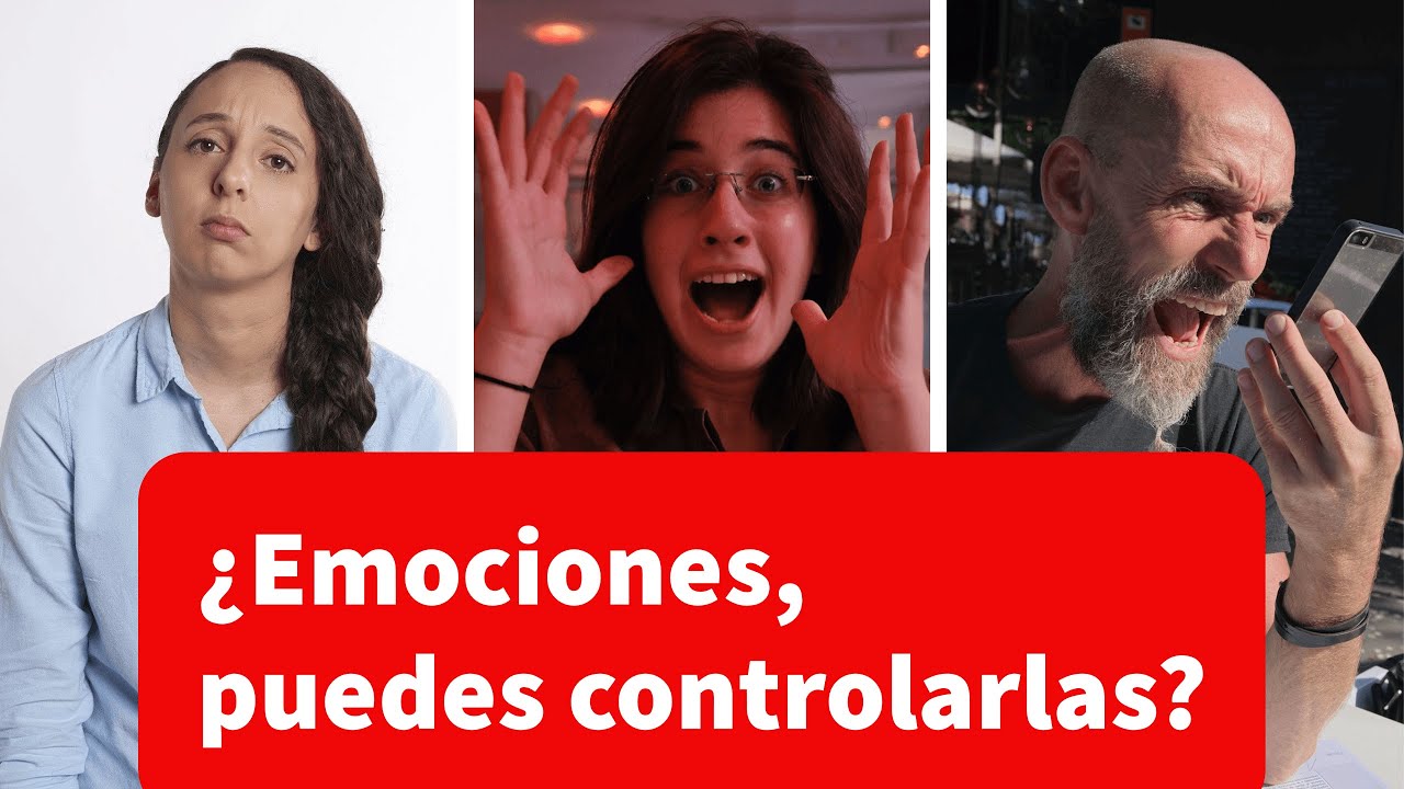 Como Puedo Ver Mis Comentarios En Youtube