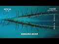 《地理·中国》 20211006 江山多娇·水生逸趣|CCTV科教