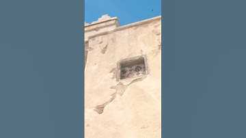 Самый лёгкий раскид Б плента на Dust2 #cs2 #csgo #cs #кс #ксго #кс2 #раскидкс2