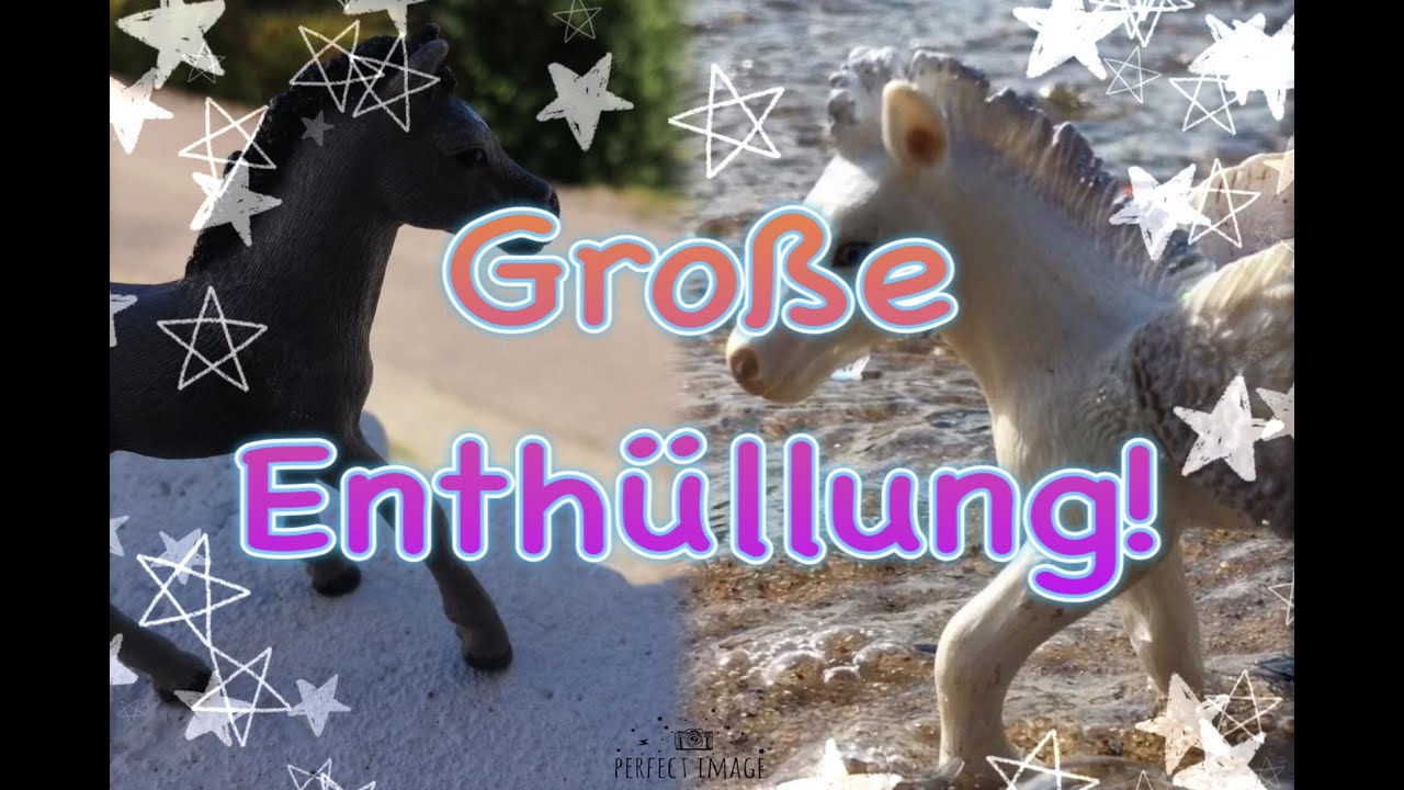 Enthüllung Enthüllung