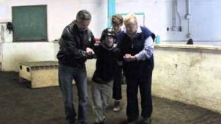 Little Bits Therapeutic Riding Association (Edmonton, AB, Canada)