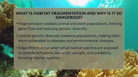 What Is Habitat Fragmentation And Why Is It So Dangerous? - Ecosystem Essentials