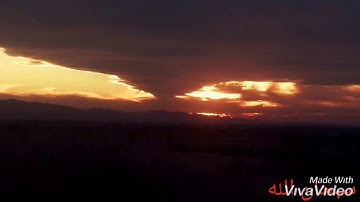 سورة التين بصوت القارئ الشيخ سعد الغامدي