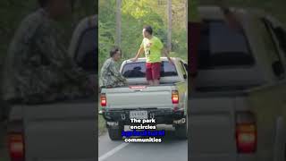 Thailand: Wild Elephants |  In the Name of Wild #military #reality #shorts