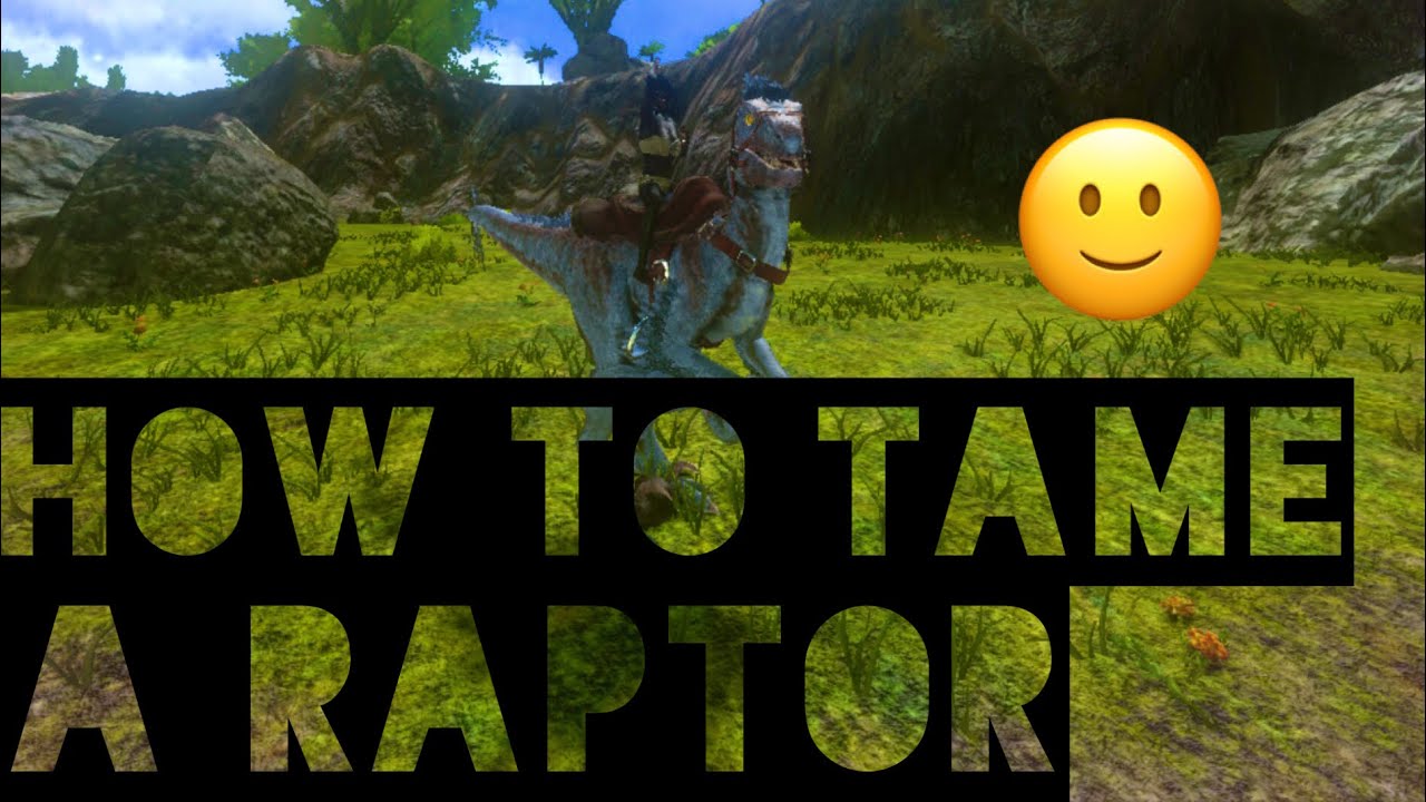 How to tame a raptor | Ark Survival Evolved - YouTube