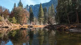 Dude Where is my horse - No copyright music/BGM/Relax/Vlog