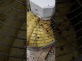 IMPASTO PANETTONE CON IMPASTATRICE GM45 GEMIGNANI #2