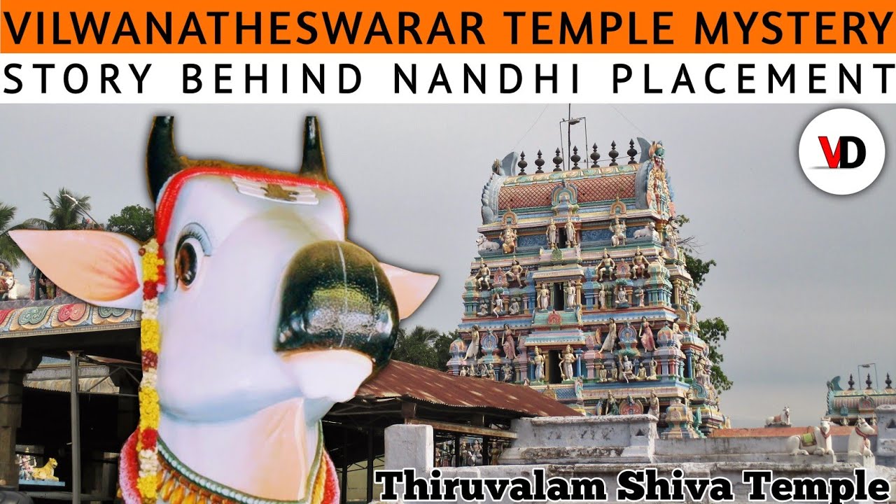 Vilwanatheswarar Temple | Tiruvalam | Mystery behind Giant Nandhi | VIEWER'S DEN | VD
