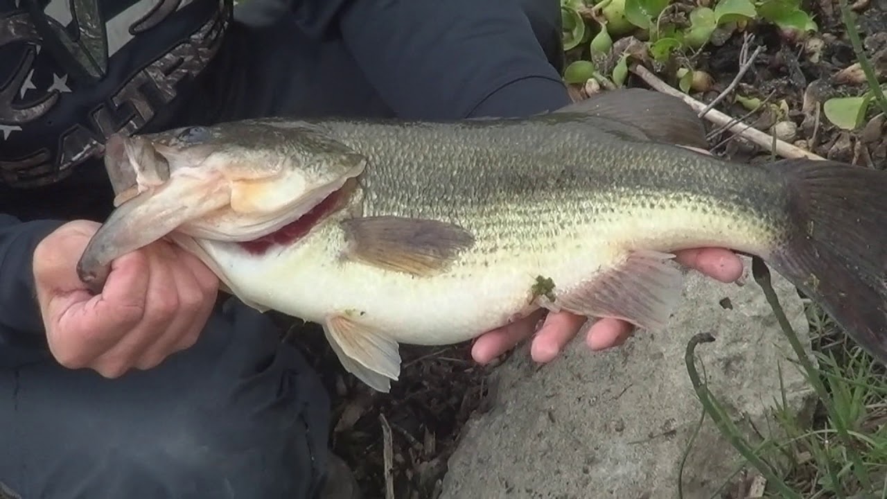 D&M CUSTOM BAITS  'DBLE. HAMMER'   BUZZBAITS !