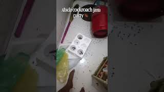 cockroach janta party ka khatma 🙂 #cockroachjantaparty #shorts #trending #viral