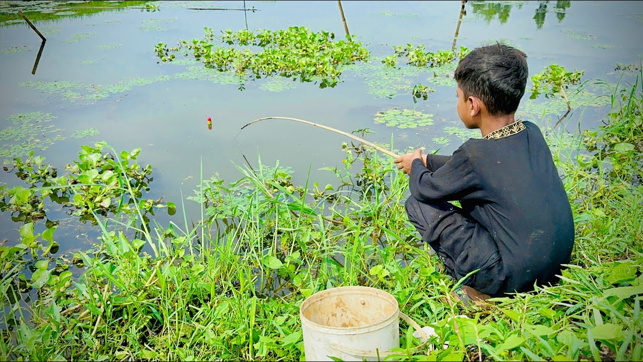 Fishing Video 🎣|| The boys always catches a lot of fish from the ...