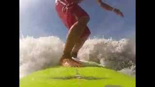 DVSディック・バーン・ストラーレン6'3Retoro Twin Fish