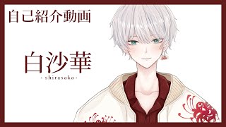 「【#新人Vtuber】初めまして、白沙華です。【自己紹介 / introduction】」のサムネイル