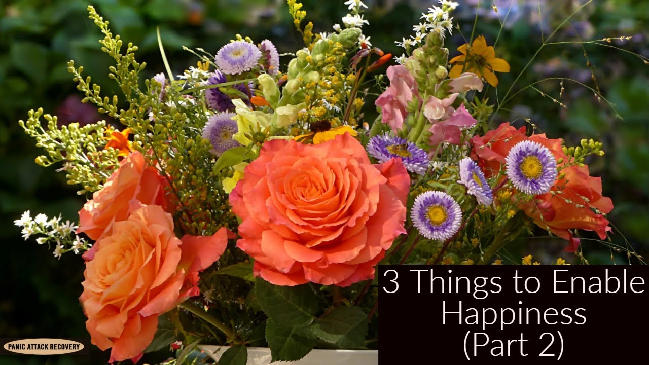 ADHD and Anxiety Tips: Pleasure versus Happiness Part 2