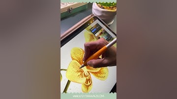 Painting watercolors in Procreate