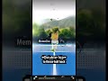 DOUBLE TAP (creds to @MemeZee) #shorts #memes #funny #doubletaps