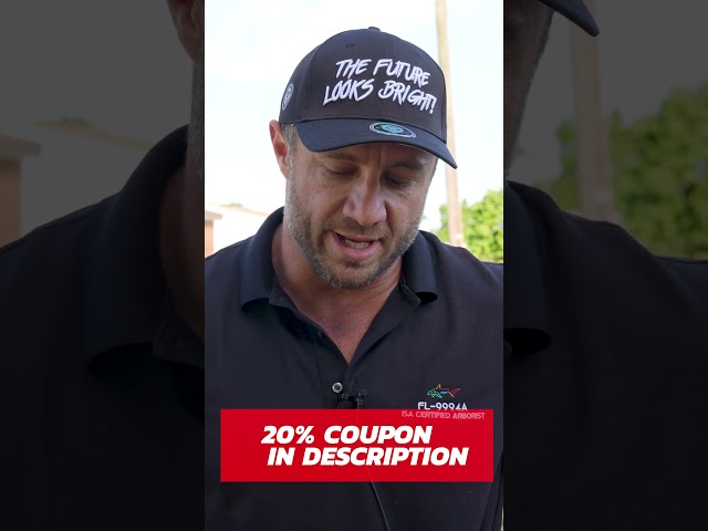 Why Mitch Uses Jobber for His Tree Removal Business